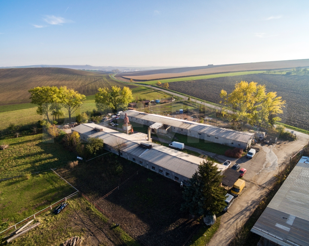 Prodej areálu Viničné Šumice